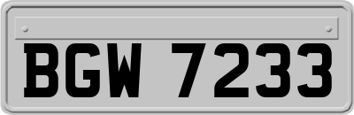 BGW7233