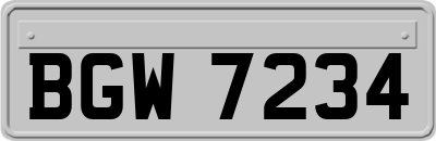 BGW7234