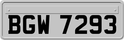 BGW7293