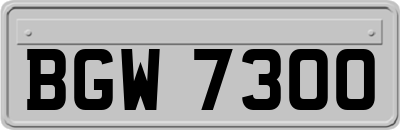 BGW7300