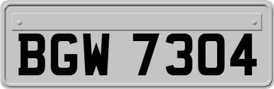 BGW7304