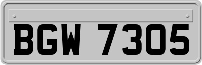 BGW7305