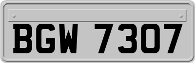 BGW7307