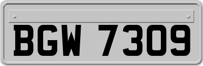 BGW7309