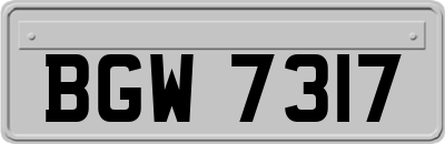 BGW7317