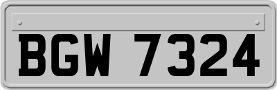 BGW7324