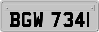 BGW7341