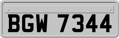 BGW7344