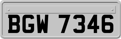 BGW7346