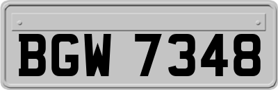 BGW7348