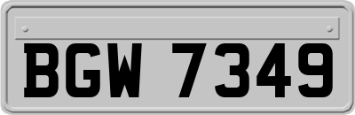 BGW7349