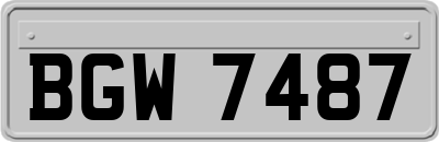 BGW7487