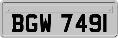 BGW7491