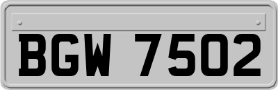 BGW7502
