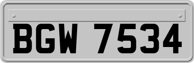BGW7534