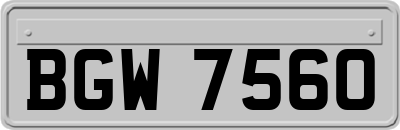 BGW7560