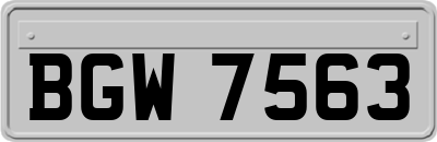 BGW7563