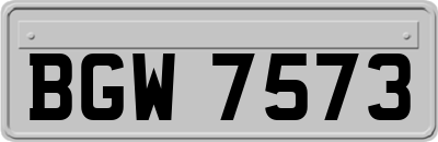 BGW7573