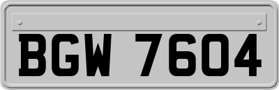 BGW7604