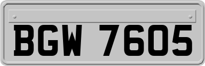 BGW7605