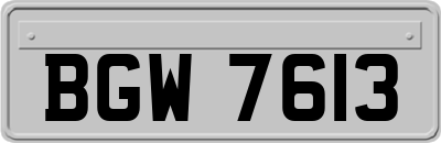 BGW7613