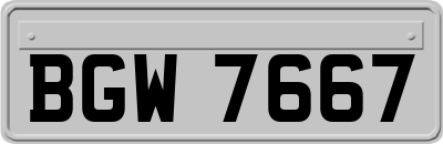 BGW7667