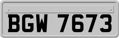 BGW7673