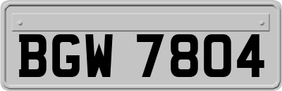 BGW7804