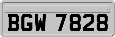 BGW7828