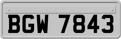 BGW7843