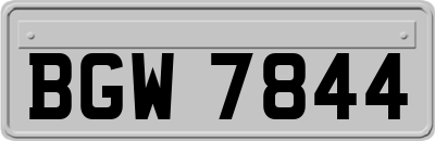 BGW7844