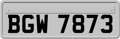 BGW7873