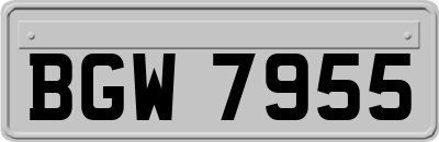 BGW7955