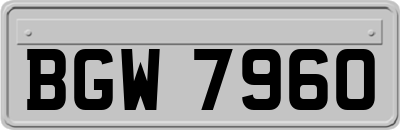 BGW7960