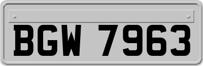 BGW7963
