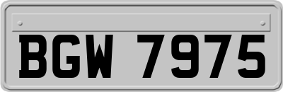 BGW7975