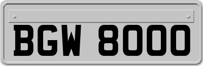 BGW8000