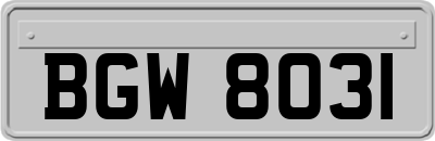 BGW8031