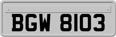 BGW8103