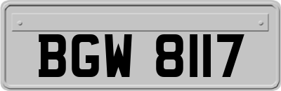 BGW8117