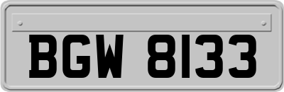 BGW8133