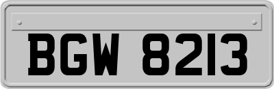 BGW8213