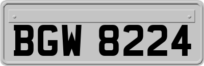 BGW8224