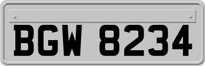BGW8234