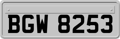 BGW8253