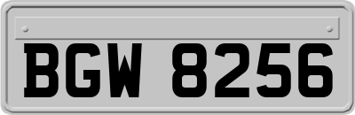 BGW8256