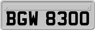 BGW8300