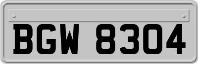 BGW8304