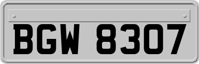 BGW8307