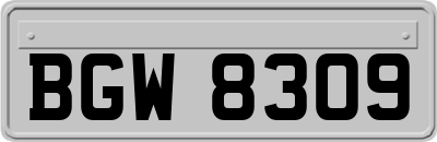 BGW8309